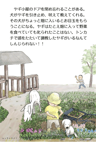 MGLQ_