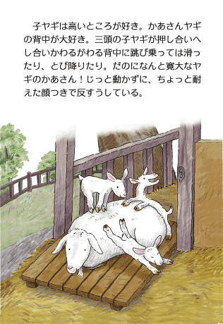 MGL[ׂ肾